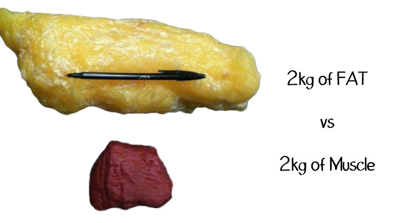 3 lygio riebalų degintojo kūno tipas amway numesti svorio