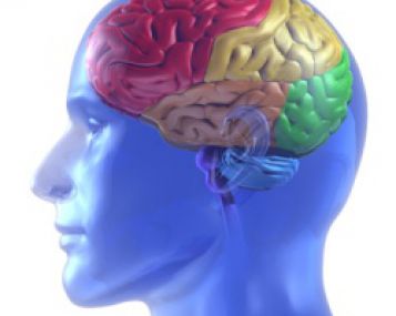 galvos smegenų traumos svorio netekimas