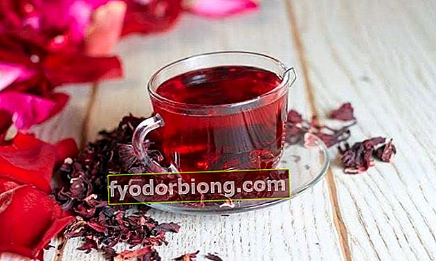 hibiscus arbatos svorio metimo nauda
